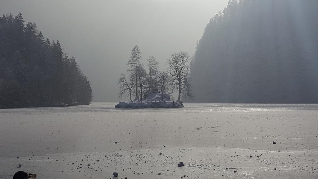 Schönau am Königssee 泽尔之家旅馆酒店 外观 照片
