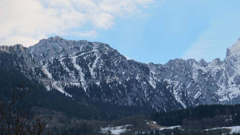 Schönau am Königssee 泽尔之家旅馆酒店 外观 照片